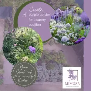 Beautiful Borders - Gardening Course