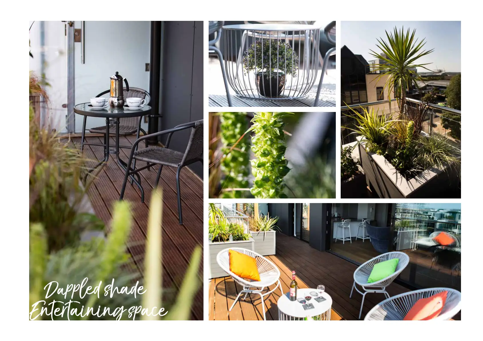 Screenshot 2023-09-16 at 06.09.12