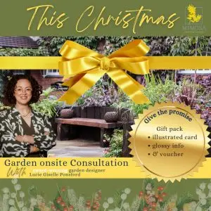 Onsite Consultation Gift Pack